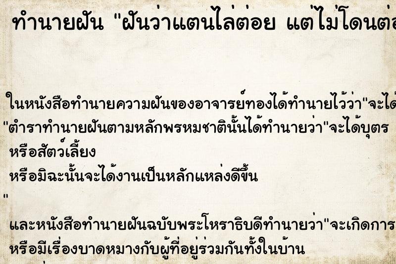 ทำนายฝันฝันว่าแตนไล่ต่อยแต่ไม่โดนต่อย ทำนายฝันทำนายฝันฝันว่าแตนไล่ต่อยแต่ไม่โดนต่อย